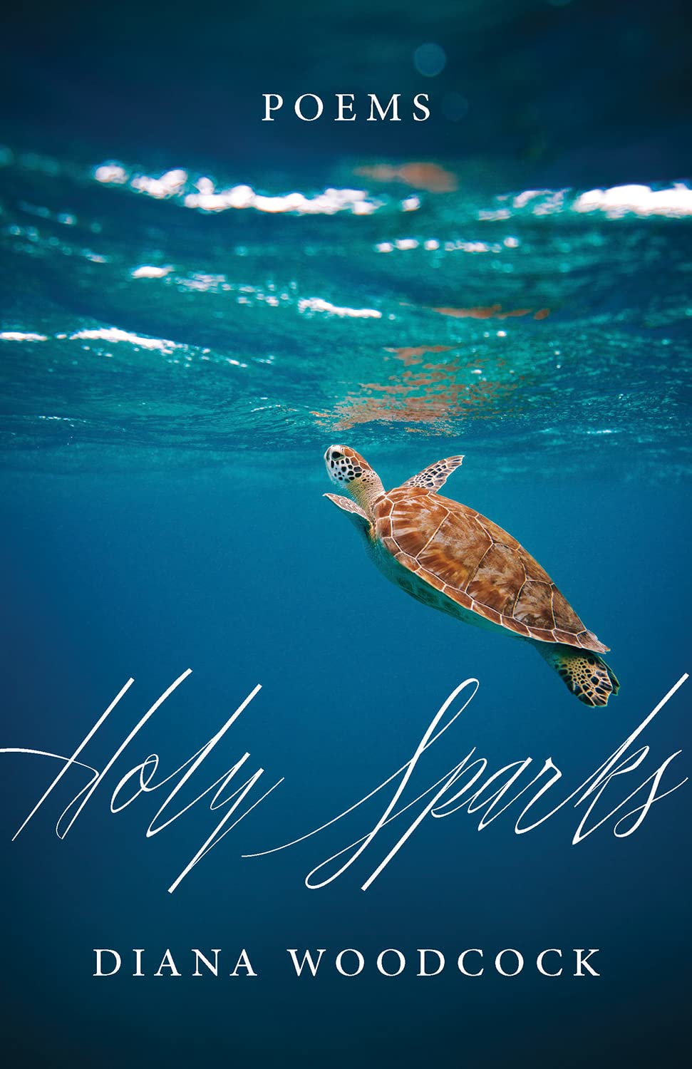 Book cover of HOLY SPARKS by Dr. Diana Woodcock features an sea turtle breaking the surface of the ocean.